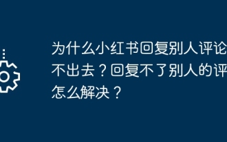 왜 Xiaohongshu는 다른 사람의 댓글에 답글을 올릴 수 없나요? 다른 사람의 댓글에 답글을 달 수 없으면 어떻게 해야 하나요?