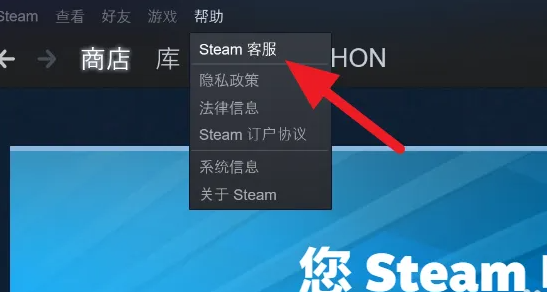 steamで過去のログインIPを確認する方法