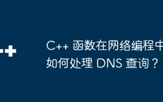 Wie verarbeiten C++-Funktionen DNS-Abfragen in der Netzwerkprogrammierung?