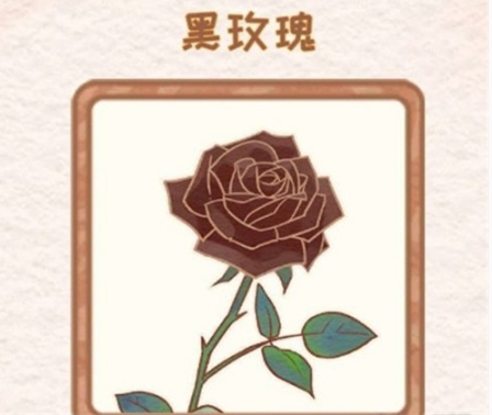 《花店物语》黑玫瑰解锁方法