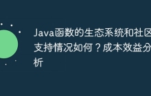 Java函数的生态系统和社区支持情况如何？成本效益分析