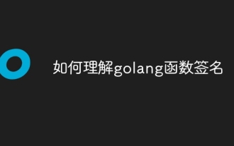 golang 関数のシグネチャを理解する方法