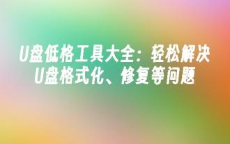 U盘低格工具大全:轻松解决U盘格式化、修复等问题
