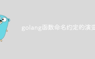 Evolusi konvensyen penamaan fungsi golang