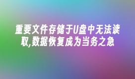 重要文件存储于U盘中无法读取,数据恢复成为当务之急