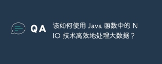 该如何使用 Java 函数中的 NIO 技术高效地处理大数据?