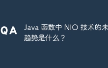 Java 函数中 NIO 技术的未来趋势是什么？