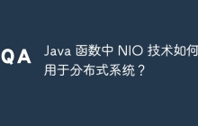 Java 函数中 NIO 技术如何应用于分布式系统？