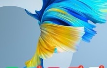 华为手机怎样查看电池使用情况_华为手机查看电池使用情况步骤