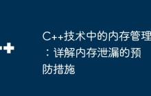 C++技术中的内存管理：详解内存泄漏的预防措施