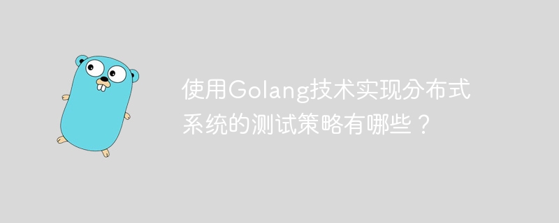 使用Golang技术实现分布式系统的测试策略有哪些？