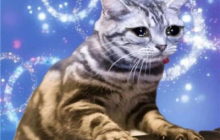 《出发吧麦芬》公测在即 拯救不玩游戏的TA