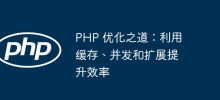 Cara mengoptimumkan PHP: Gunakan caching, concurrency dan penskalaan untuk meningkatkan kecekapan