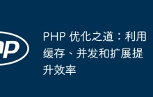 PHP 优化之道：利用缓存、并发和扩展提升效率