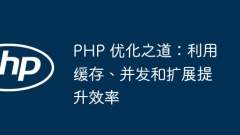 PHP を最適化する方法: キャッシュ、同時実行、スケーリングを使用して効率を向上させる