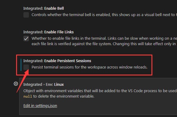 vscode怎么设置持久会话 vscode设置持久会话的方法介绍