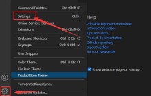 vscode怎么取消自定义图示符功能 取消自定义图示符功能步骤