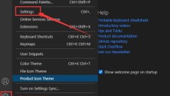 vscode怎么取消自定义图示符功能 取消自定义图示符功能步骤