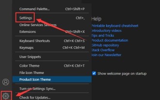 Comment définir des attributs inconnus dans vscode Méthode vscode pour définir des attributs inconnus