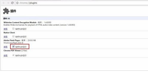 谷歌浏览器(Google Chrome)中打开flash插件的详细流程介绍