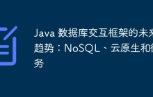 Java 数据库交互框架的未来趋势：NoSQL、云原生和微服务