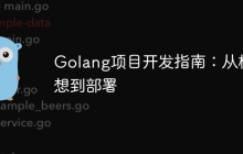 Golang项目开发指南：从构想到部署