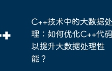 C++技术中的大数据处理：如何优化C++代码以提升大数据处理性能？
