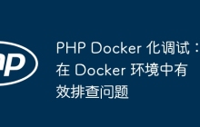PHP Docker 化调试：在 Docker 环境中有效排查问题