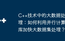 C++技术中的大数据处理：如何利用并行计算库加快大数据集处理？