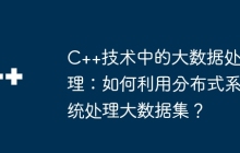 C++技术中的大数据处理：如何利用分布式系统处理大数据集？