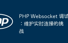 PHP Websocket 调试：维护实时连接的挑战