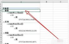 Excel2019透视表怎样使用切片器 Excel2019透视表使用切片器教程