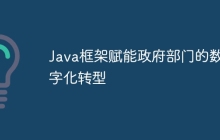 Java框架赋能政府部门的数字化转型