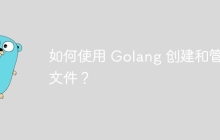 如何使用 Golang 创建和管理文件？