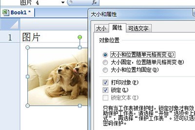 Excel图片随着单元格变化设置方法_自动大小了解下