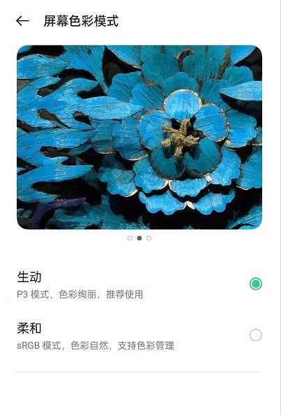 oppoReno6怎样更改屏幕色彩模式_oppoReno6更改屏幕色彩模式介绍教程