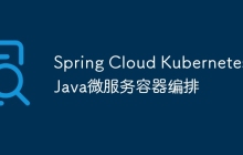 Spring Cloud Kubernetes：Java微服务容器编排