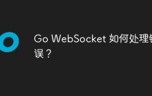Go WebSocket 如何处理错误？