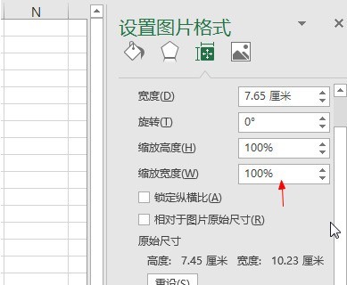 Microsoft Excel 2020怎么设置图片格式 Microsoft Excel 2020设置图片格式的方法
