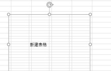 Microsoft Excel 2020怎么设置图片格式 Microsoft Excel 2020设置图片格式的方法