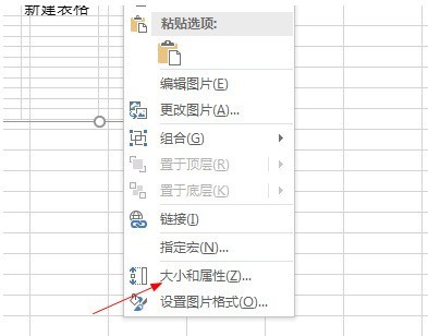 Microsoft Excel 2020怎么设置图片格式 Microsoft Excel 2020设置图片格式的方法