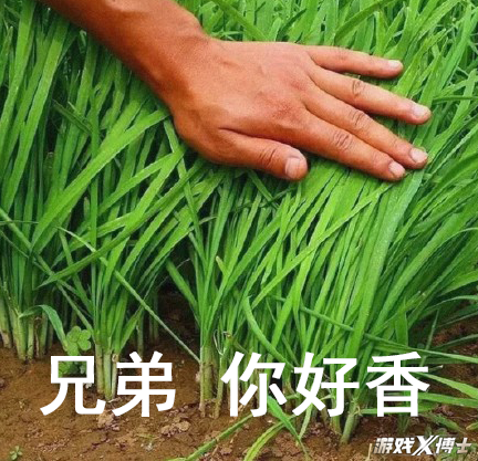 腾讯时隔八年又出手!挑战最容易翻车的品类,还能复刻火影神话吗?