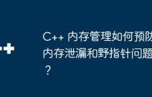 C++ 内存管理如何预防内存泄漏和野指针问题？