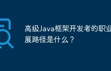高级Java框架开发者的职业发展路径是什么?