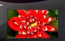 如何应对被电视机屏蔽的广告（掌握关键技巧）