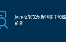 java框架在数据科学中的应用前景