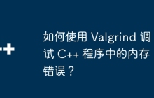 如何使用 Valgrind 调试 C++ 程序中的内存错误？