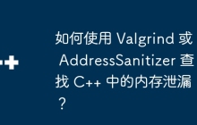 如何使用 Valgrind 或 AddressSanitizer 查找 C++ 中的内存泄漏？