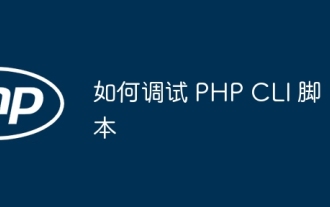 Bagaimana untuk menyahpepijat skrip CLI PHP