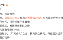 国产存储品牌致态与《黑神话：悟空》游戏官宣合作